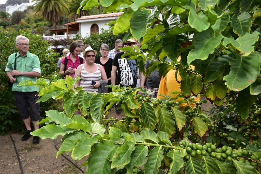 Gran Canaria: Grand Island Tour by Bus with Transfers - Driver and guide quality: why safety and explanations matter here