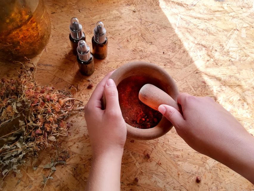 Gran Canaria: Green Witchcraft in the Magic Island - Massimo and the Yerbería Workshop: Canary Herbalism Made Practical