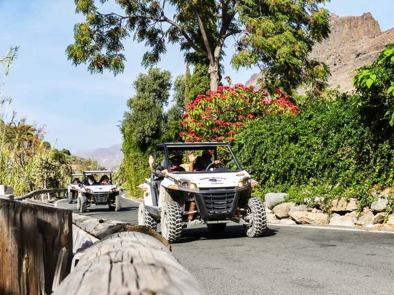 Gran Canaria Guided Buggy Tour - Photos and video options, and deciding if they are worth it