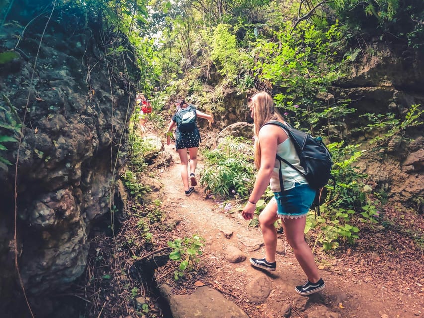 Gran Canaria: Guided Day Tour to Rainforest with Tasting - Key things to know before you go