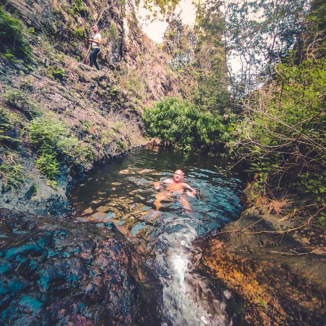 Gran Canaria: Guided Day Tour to Rainforest with Tasting - Who this tour fits, and who should skip it