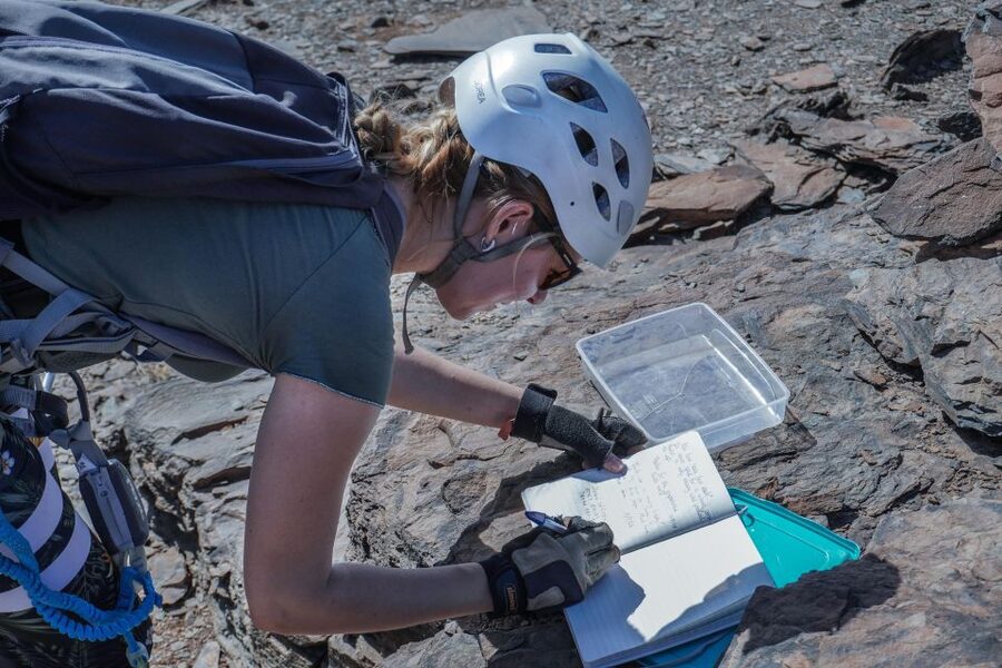 Gran Canaria: Guided Via Ferrata Excursion - Learning the Island While You Climb