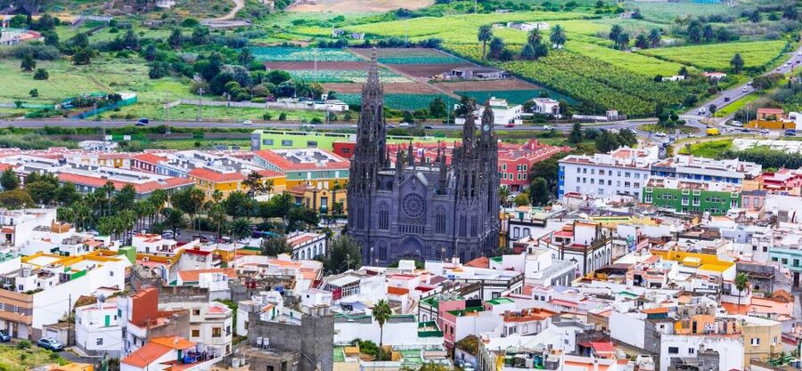 Gran Canaria Highlights Full-Day Tour by Bus - Driver Skill, Tight Turns, and Motion Sickness Reality Check
