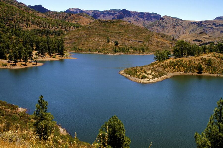 Gran Canaria Highlights Full-Day Tour by Bus - Why This Green Center Tour Works for a One-Day Gran Canaria Plan