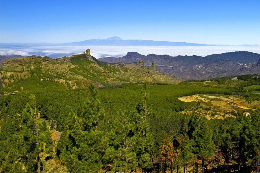 Gran Canaria Highlights Full-Day Tour by Bus - Arucas: Gothic Church Time and a North Coast Town Feel