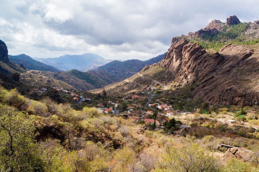 Gran Canaria Highlights Full-Day Tour by Bus - Aloe Vera at Finca Canarias: A 50-Minute Stop You Can Treat Your Way
