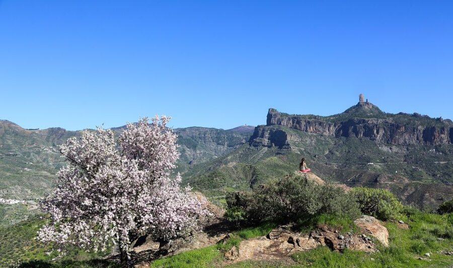Gran Canaria Highlights Full-Day Tour by Bus - Almond Trees, Fataga, and the Thousand Palms Area on the Drive