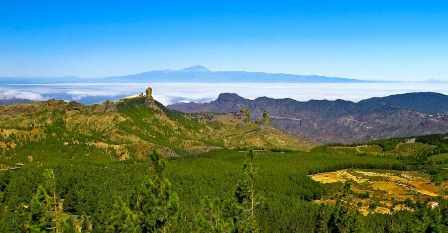 Gran Canaria Highlights Full-Day Tour by Bus - Meeting Points, Pickup Delays, and Why Las Palmas Is Not Included