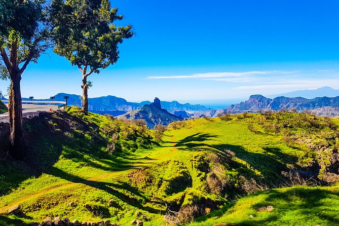 Gran Canaria highlights & hidden gems with local guide Sky Rebels - Mirador Degollada de la Yegua and the 1,000 Palm Valley Entrance