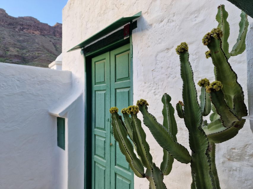 Gran Canaria historical house with mango plantation - Price and Value: Why $63 for 2 Hours Can Add Up