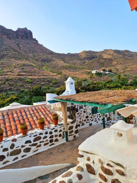 Gran Canaria historical house with mango plantation - Mangoes, Avocados, Soursops, and Tunera: Farm Crops Explained Simply