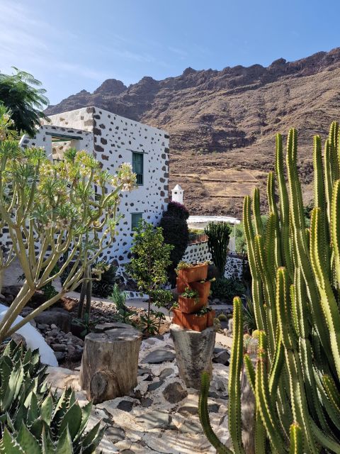 Gran Canaria historical house with mango plantation - Optional Lunch or Dinner at Valle de Mogán