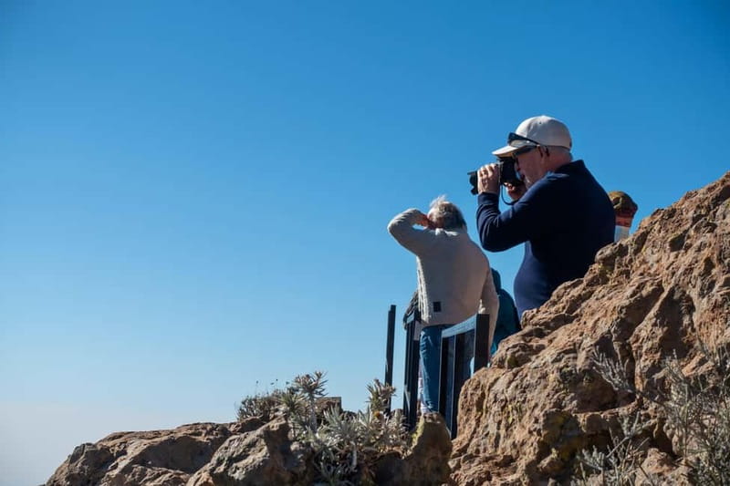Gran Canaria: Island Highlights Tour with Optional Lunch - Why This Tour Works on Gran Canaria