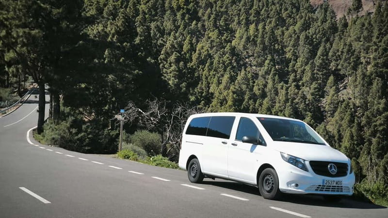 Gran Canaria: Island Highlights Tour with Optional Lunch - How the Day Flows, Stop by Stop