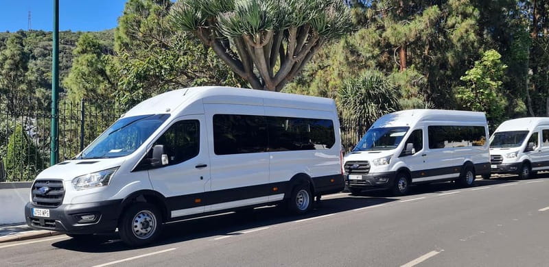 Gran Canaria: Island Highlights Tour with Optional Lunch - FAQ