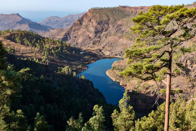 Gran Canaria: Island Highlights Tour with Optional Lunch - The Money: Is $79 Good Value for 6.5 Hours?