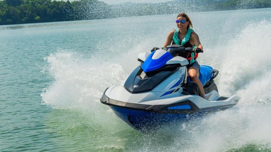 Gran Canaria Jetski Tour - Marine life spotting: what to watch for (and what not to stress about)