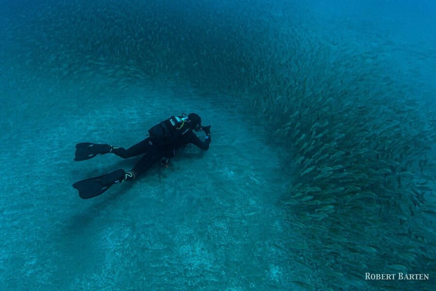 Gran Canaria:Live an Adventure and Learn to Dive with Expert - Beach time afterward at Playa de Amadores: the part you should plan for