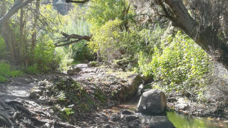 Gran Canaria: "Magic Waterfalls" Hiking Tour - Key highlights worth your attention