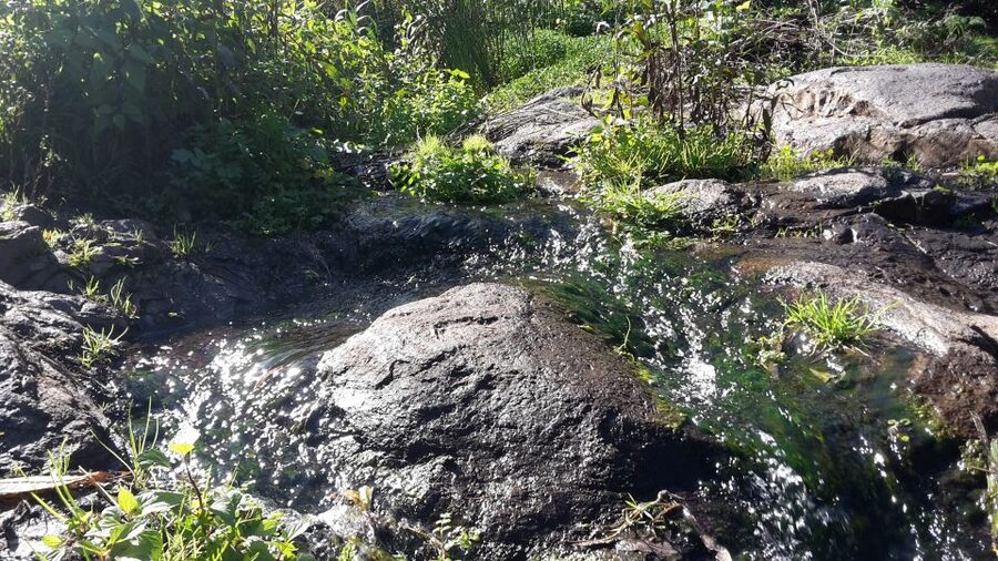 Gran Canaria: "Magic Waterfalls" Hiking Tour - Why Gran Canaria’s microclimates make this hike feel special
