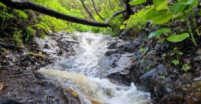 “Magic Waterfalls” Hiking Tour