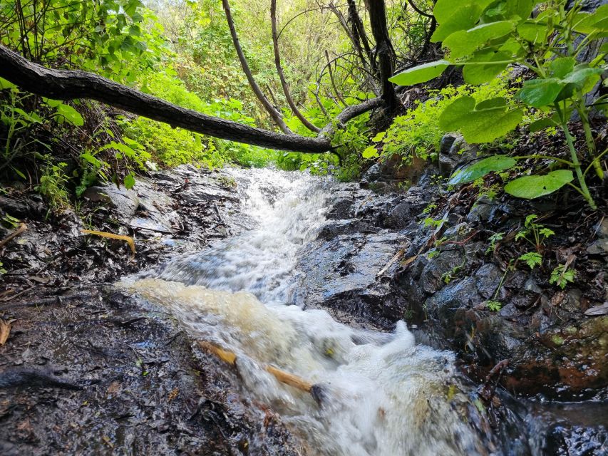 Gran Canaria: "Magic Waterfalls" Hiking Tour - Route profile in plain numbers: 7 km, 240 m up, and heights in the mid-range