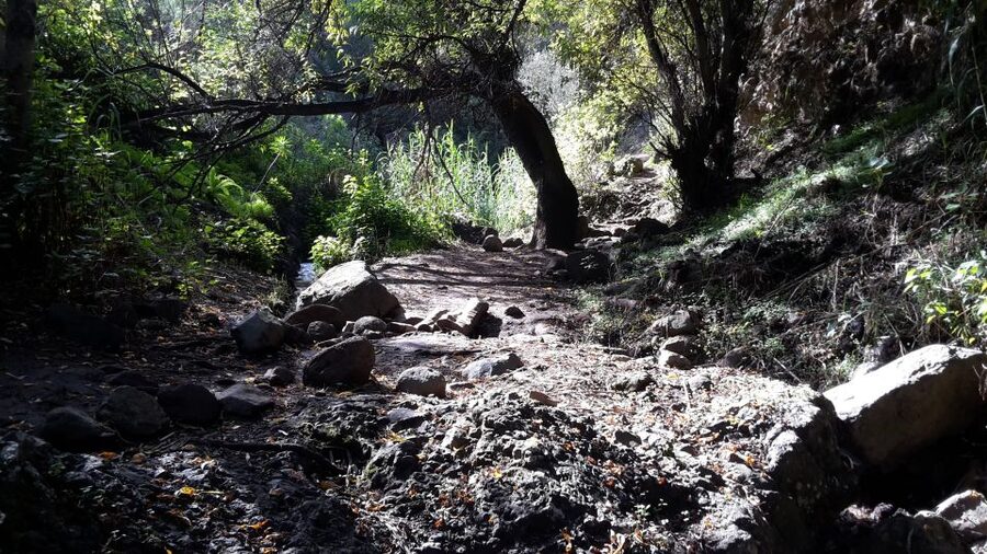 Gran Canaria: "Magic Waterfalls" Hiking Tour - What the guide does for you on the trail