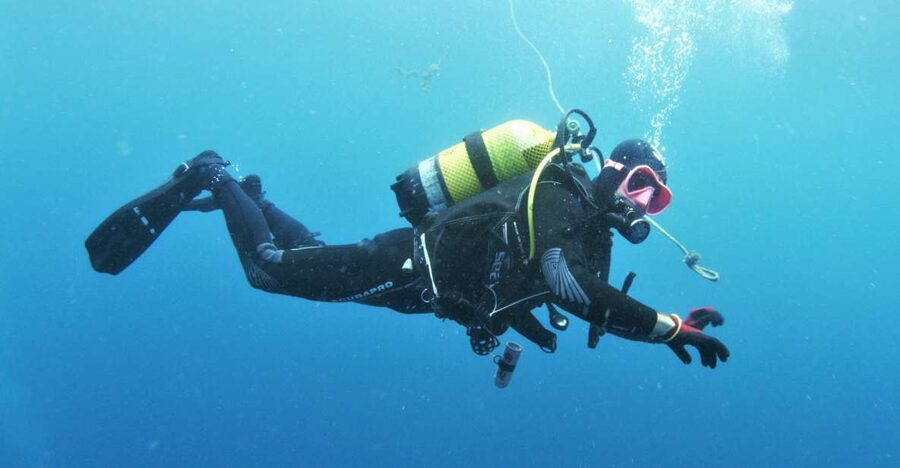 Gran Canaria: Morning Scuba Dive - What Makes Gran Canaria’s Underwater World Worth Your Morning