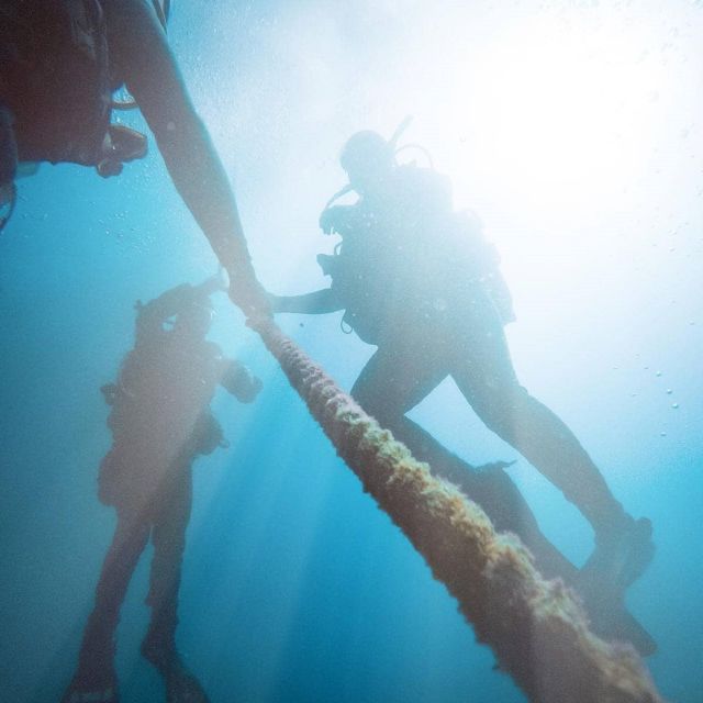 Gran Canaria: Morning Scuba Dive - Marine Life You Can Actually Picture Before You Go