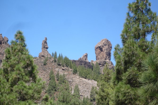 Gran Canaria Peaks Full-Day Tour from Las Palmas - Pico de las Nieves and Roque Nublo: Where the Views Become the Main Event