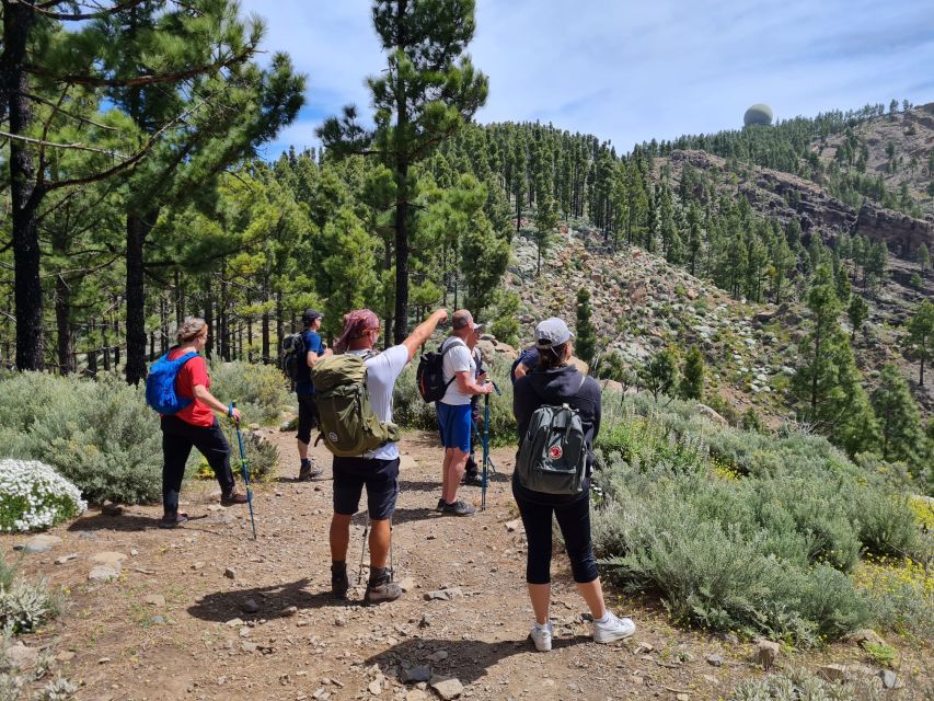 Gran Canaria: "Peaks of Gran Canaria" Hiking Tour - Key points to know before you lace up