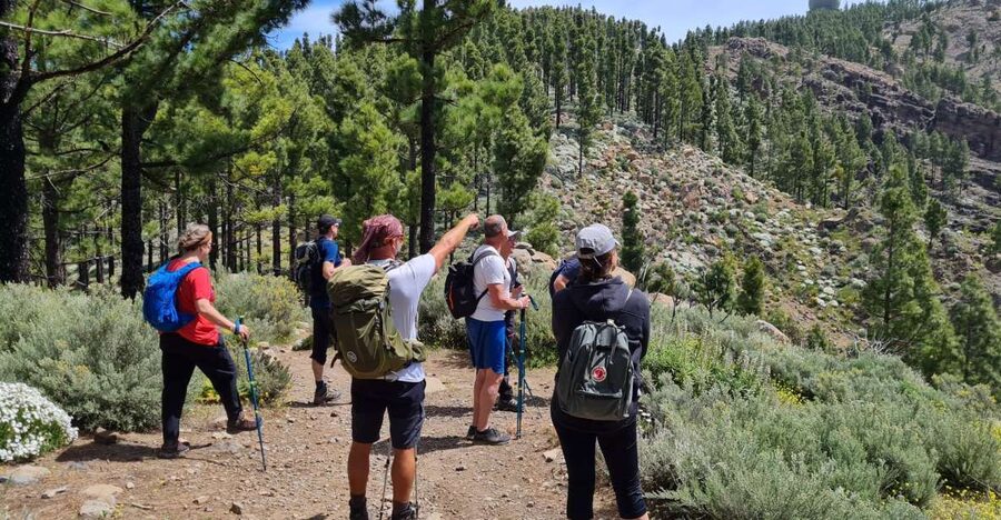 Gran Canaria: "Peaks of Gran Canaria" Hiking Tour - A Small-Group Peak Hike Above Gran Canaria