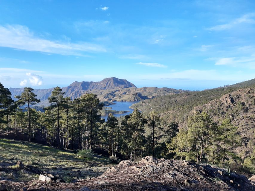 Gran Canaria: "Peaks of Gran Canaria" Hiking Tour - Getting There: Hotel Pickup and the South Coast Start