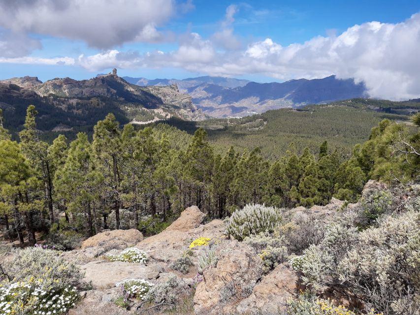 Gran Canaria: "Peaks of Gran Canaria" Hiking Tour - Breaks, Plant Talk, and Why the Hike Feels Easier Than It Looks