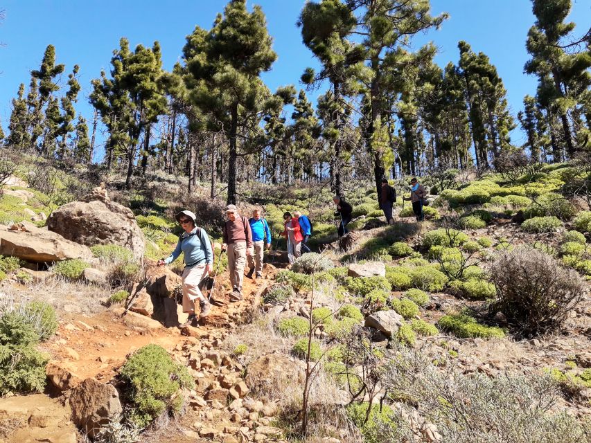 Gran Canaria: "Peaks of Gran Canaria" Hiking Tour - Lunch at the Local Restaurant: What’s Included and What to Order