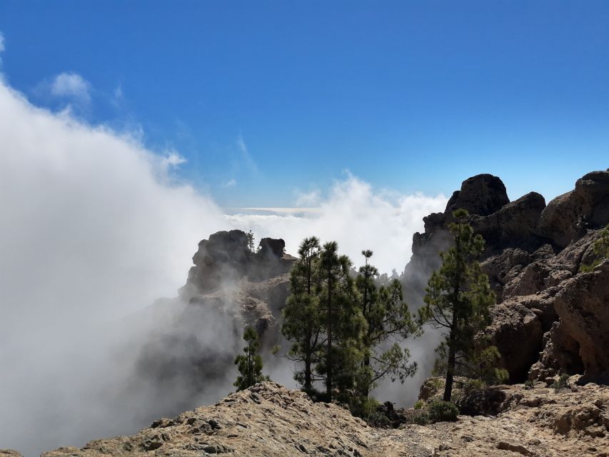 Gran Canaria: "Peaks of Gran Canaria" Hiking Tour - Who Should Book This, and Who Might Feel Unsure