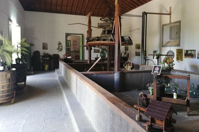 Gran Canaria Premium Tour: Volcanoes and Wine for cruisers - Duration reality check: why your day might clock in closer to 5 hours