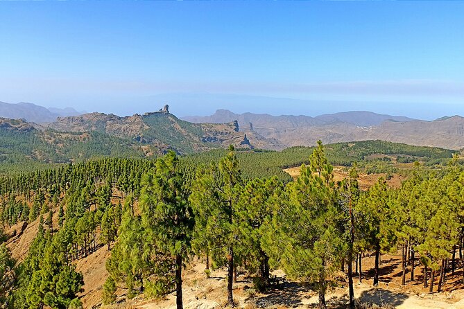 Gran Canaria Premium Tour: Volcanoes and Wine for cruisers - Bodega San Juan, Museo del Vino, and the real meaning of Canarian wine