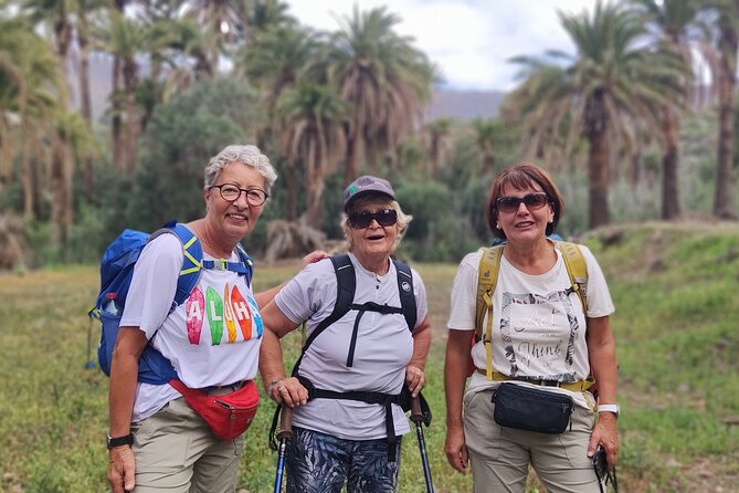 Gran Canaria private walks - The day’s rhythm: 9:00am start, about 7 hours, and many stop points