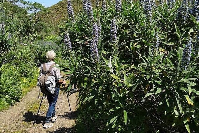 Gran Canaria private walks - How the route gets customized, without turning the day into chaos