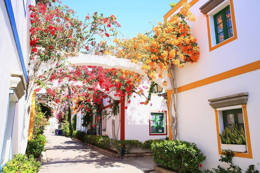 Gran Canaria: Puerto de Mogán Trip with 1-Way Boat Ride - Key Highlights You Should Know Before You Go