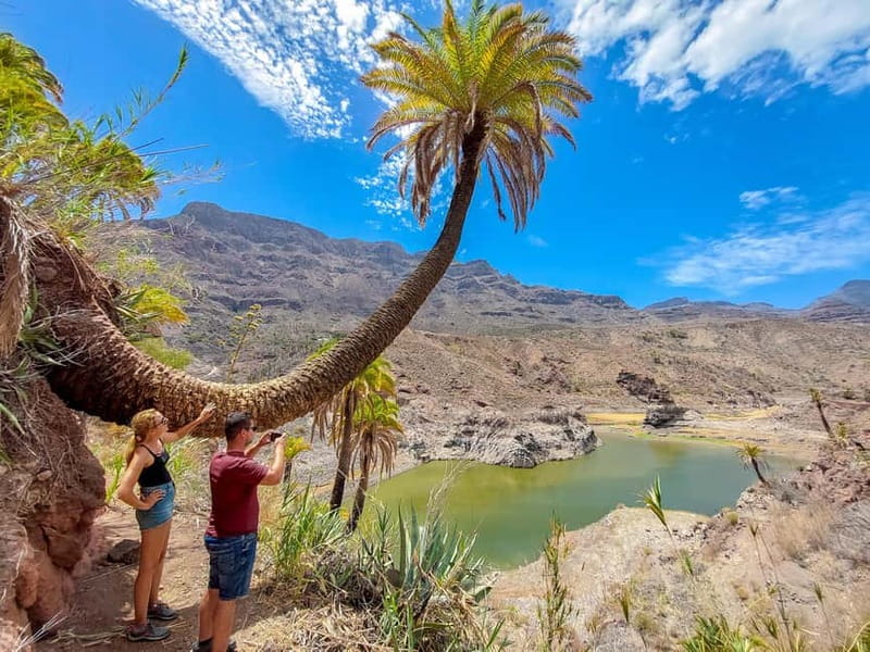 Gran Canaria: Red Gorge, Cave, Oasis Adventure Tour & Picnic - Temisas photo stop and village walking: where the pace really cools off
