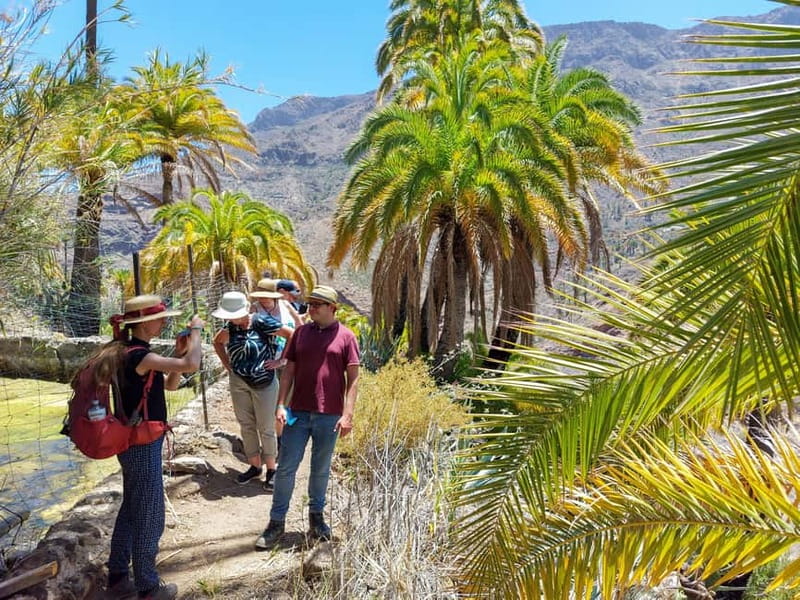 Gran Canaria: Red Gorge, Cave, Oasis Adventure Tour & Picnic - The longer hiking segment near Temisas: where the 80 minutes goes
