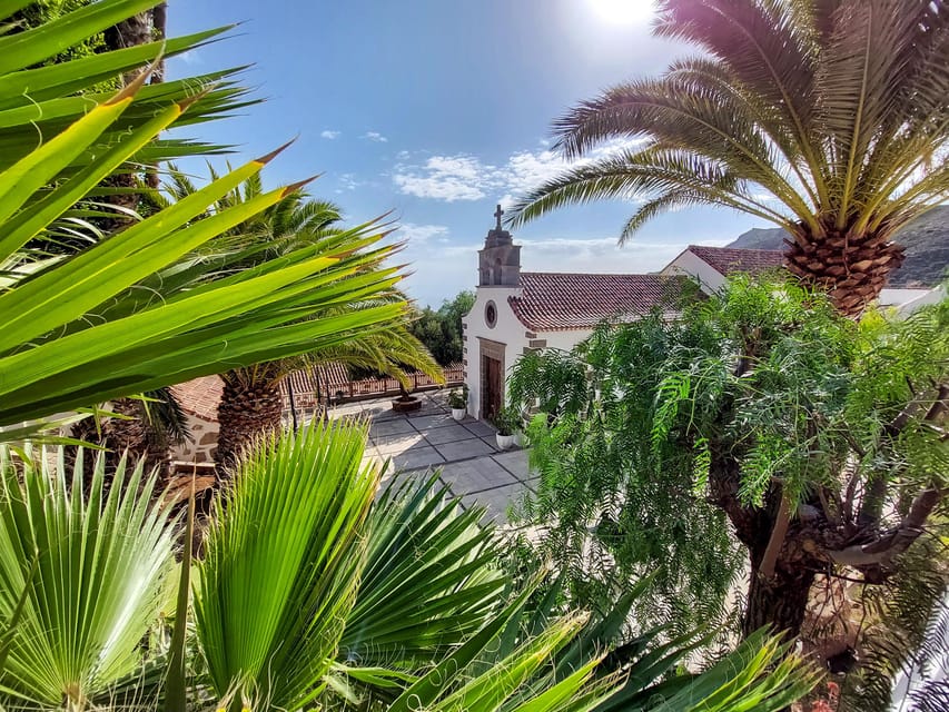 Gran Canaria: Red Gorge, Cave, Oasis Adventure Tour & Picnic - Palm oasis trail and water lessons you can use later
