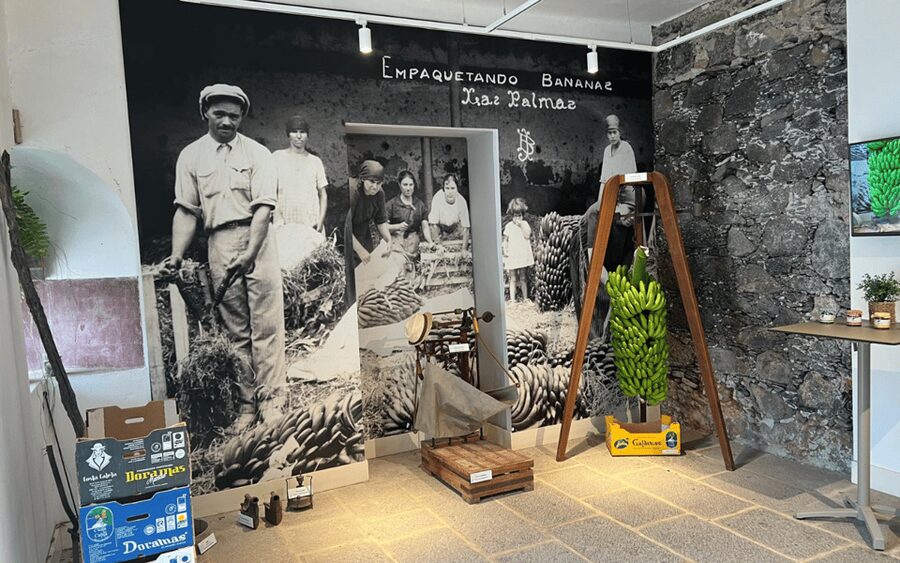 Gran Canaria: Rum, Wines and Banana Tour - Banana Museum and Banana Farm Time: More Than a Sweet Break