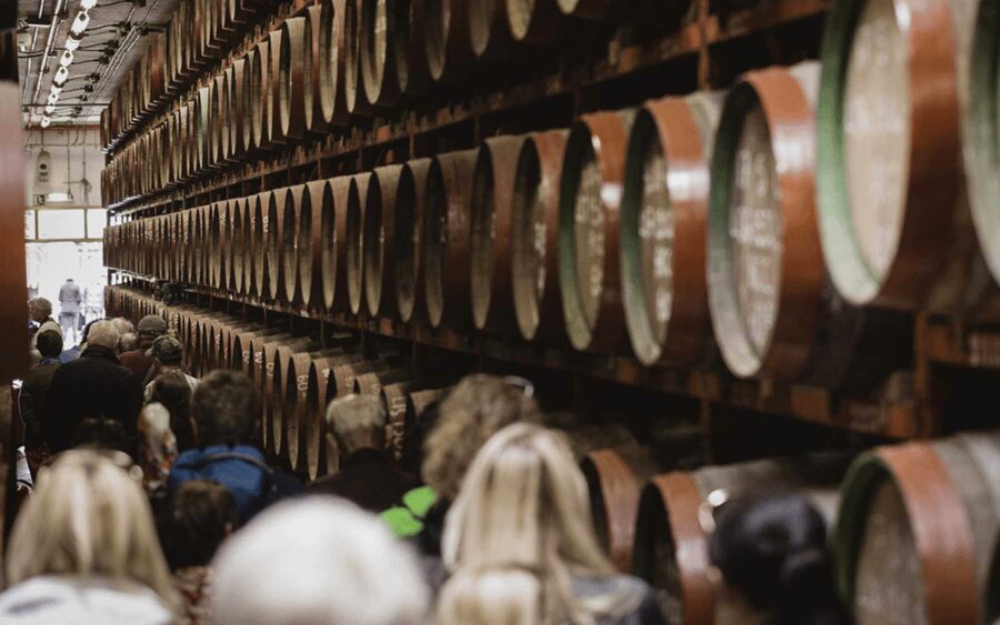 Gran Canaria: Rum, Wines and Banana Tour - Agaete Area: Coffee, Wines, and a Real Sense of Place