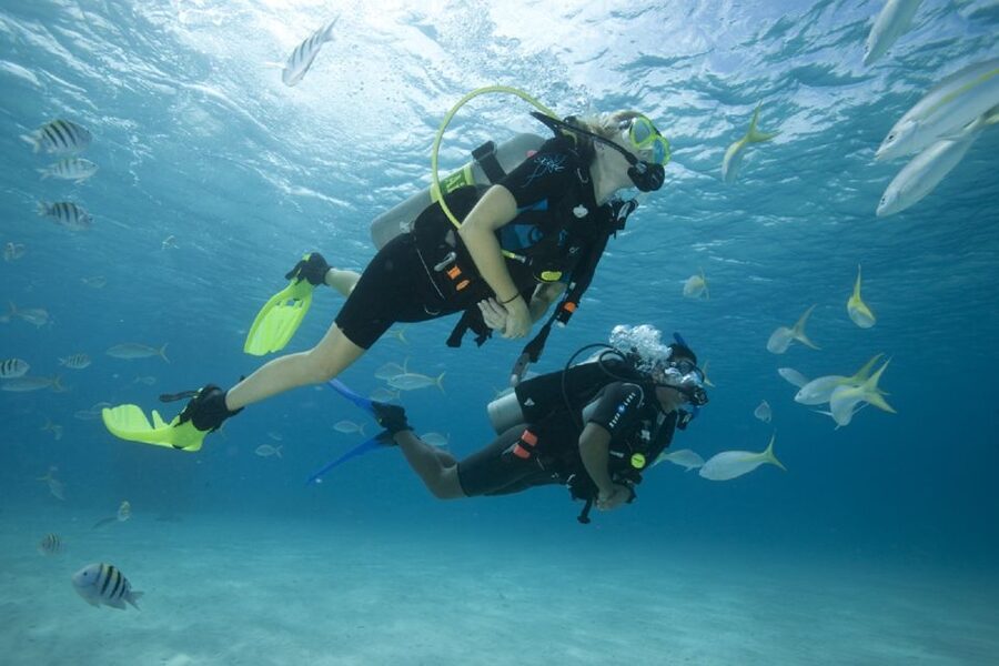 Gran Canaria: Scuba Diving for Beginners - Puerto Escala Harbour, and why this start feels easy