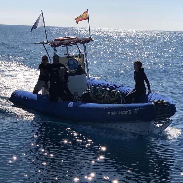 Gran Canaria: Scuba Diving for Beginners - The open-water session to 12 meters: what you’ll see