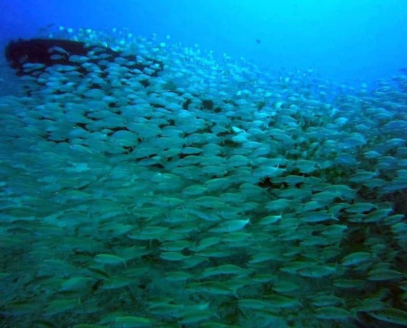 Gran Canaria: Scuba Diving for Beginners - Who should book, and who should skip this try-out