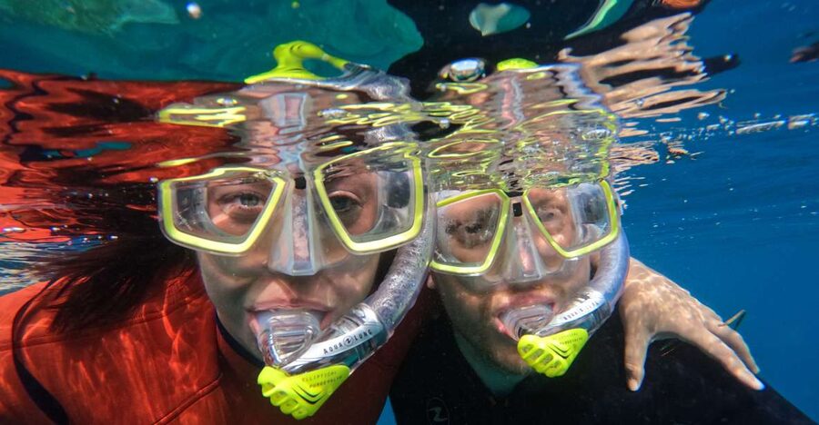 Gran Canaria: Snorkel tour with boat on the west coast - Key highlights you should care about
